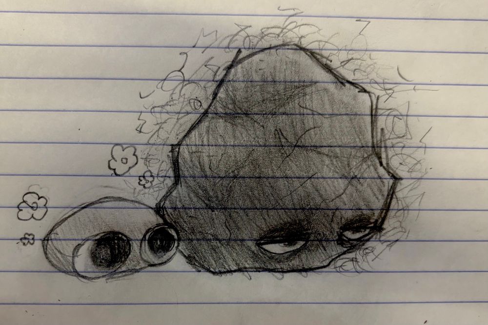 Pebble & Coal from Dandy’s world without their snouts, legs & tails. Pebble is a normal pebble & Coal is a normal lump of coal.
Pebble still looks as charming as ever, & Coal still looks as grumpy as ever.