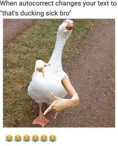Meme image of a goose altered to have human arms, with the text "When autocorrect changes your text to "that's ducking sick bro""