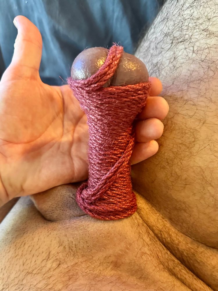 You know the World Cup trophy? There’s a soccer-ball-like shape atop an hourglass-shaped pillar? So imagine that, but instead of one ball, it’s two(!!), and they’re almost purple, flushed with blood. And instead of a golden pillar, there are dozens of wraps of maroon rope that are pushing the balls away from this crotch. For perspective, there is a hand holding this trophy up, the pinky aloft, well above the groin, and the index finger that rests just below where the balls peek out. What I’m trying to convey is that these scrotum is squished right by this rope. And these balls are begging for a good kicking. 
