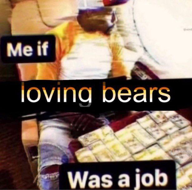 Me if loving bears was a job man w pile of money 