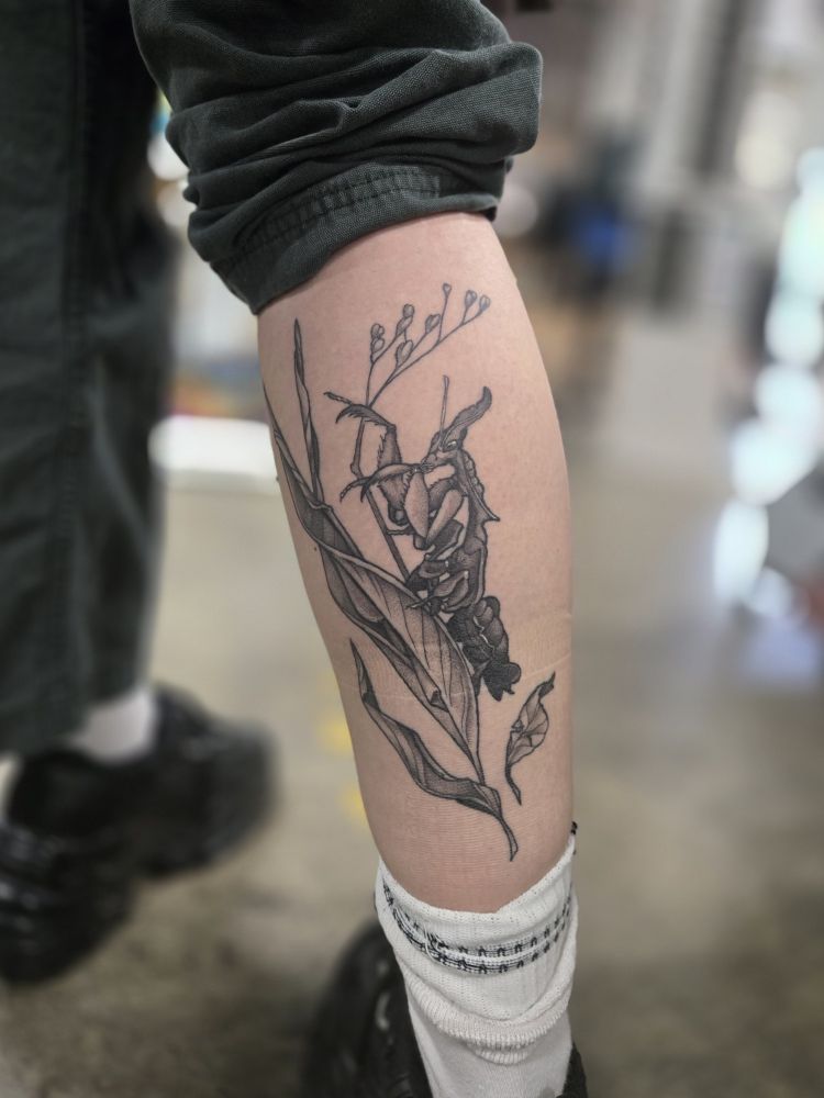 a well-healed ghost mantis tattoo, perched on some crispy dead leaves for camouflage