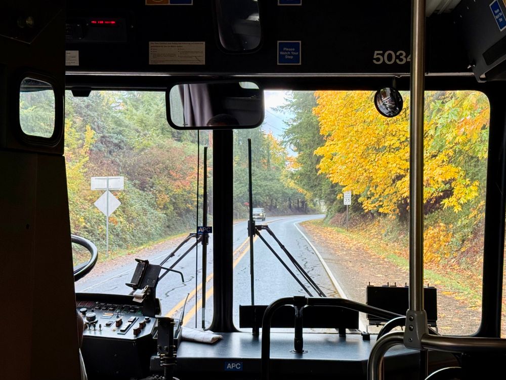 View out the front window of a vintage bus as it drives on a road next to bright yellow trees