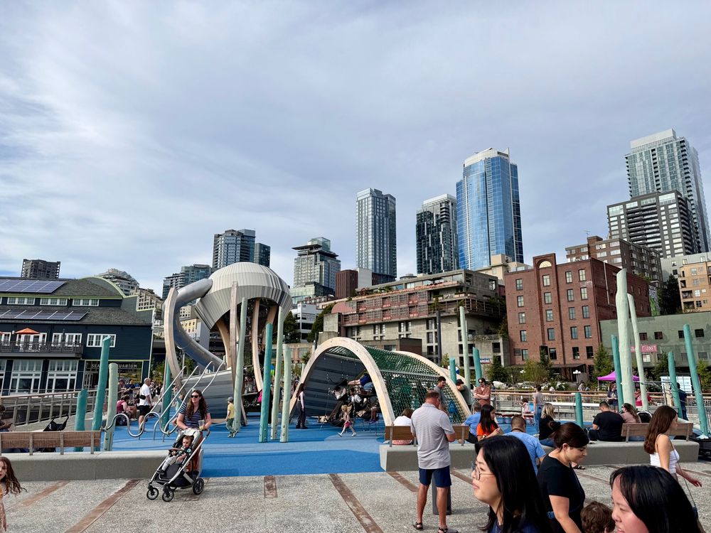 Jellyfish playground filled with kids playing 