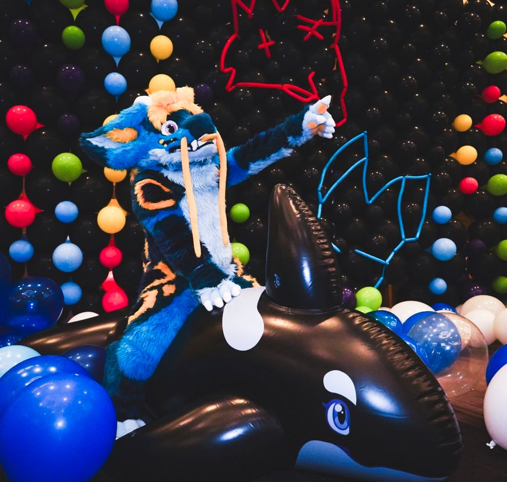 Blue and yellow noodle dragon fursuiter sitting on a huge inflatable orca. Pointing forward as if riding the orca on a voyage.