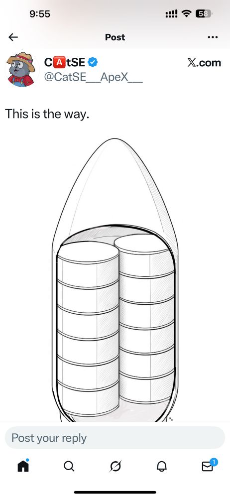 Rendering of 12 ast bluebirds inside the new larger BONG rocket. More satellites per launch equals lower cost per satellite!