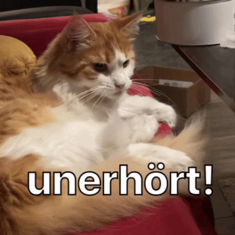 an orange and white cat is laying on a red couch next to a sign that says " unerhort "