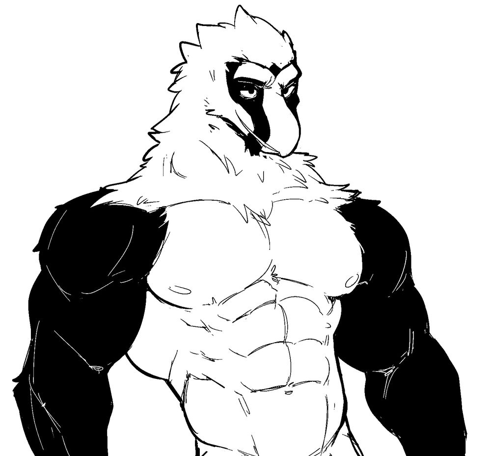 annthro muscular bearded vulture upper body large pecs