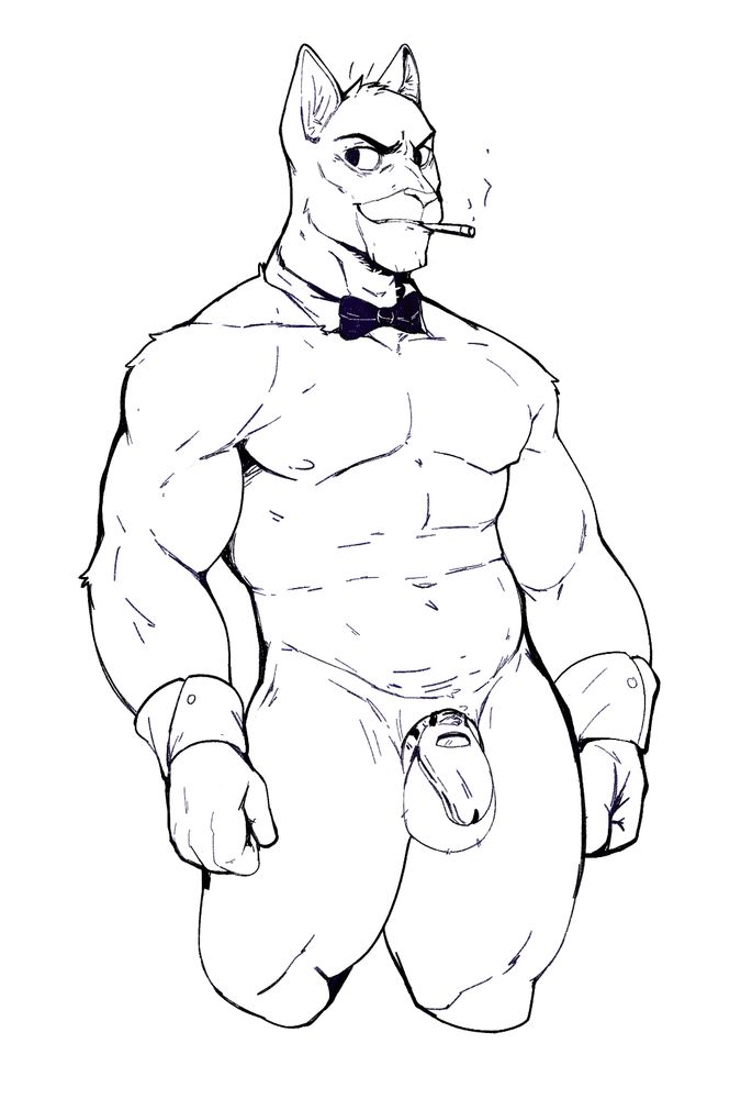 blacksad nude with a chastity cage covering his donger