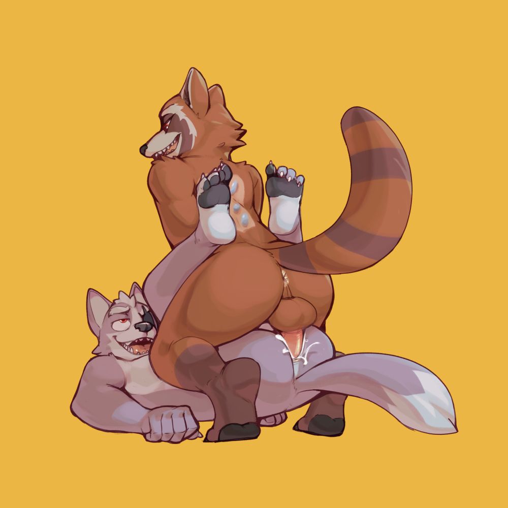 wolf getting railed from above by rocket raccoon