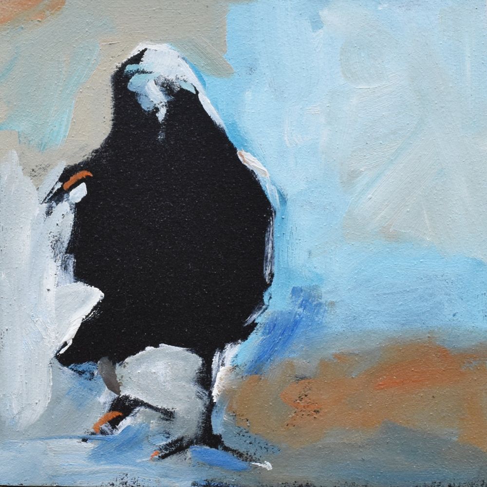 The image is of a black crow walking toward the viewer and the background colors are blue, white and a rusty orange.