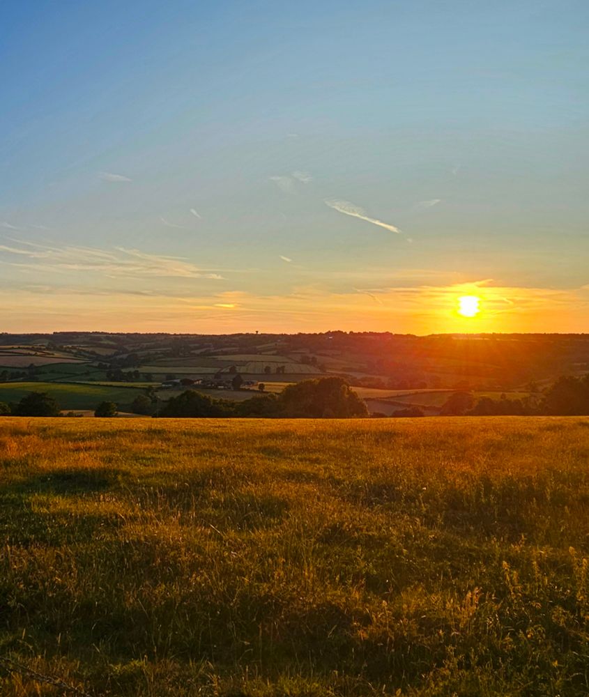 Post image (had no alt text on Bluesky)