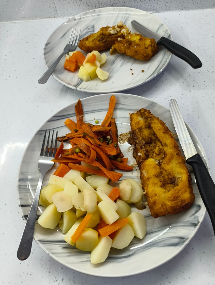 Two plates of food with knives and forks. Fish in bubbly salt and vinegar batter. Boiled carrot, potato and water chestnut. Raw shredded carrot with raw spring onion and balsamic vinegar for me. Balsamic vinegar on the battered fish.