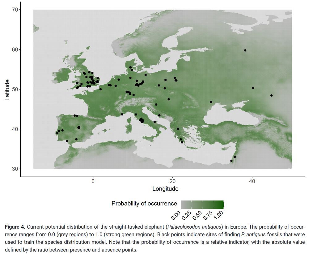 European map: elephants could occur throughout all the region of today's deciduous and evergreen forest