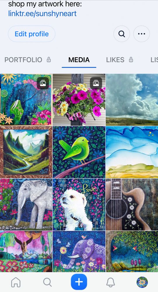 Screenshot of SunshyneArt's Flashes profile. Showing posts in a visual grid format. 