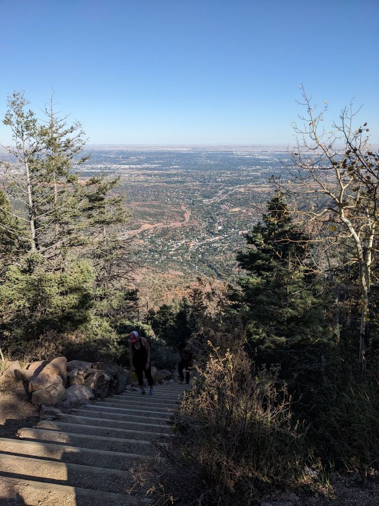 Picture of a large plain from a great height. The plain has streaks of green, and in the foreground pine trees rise up.