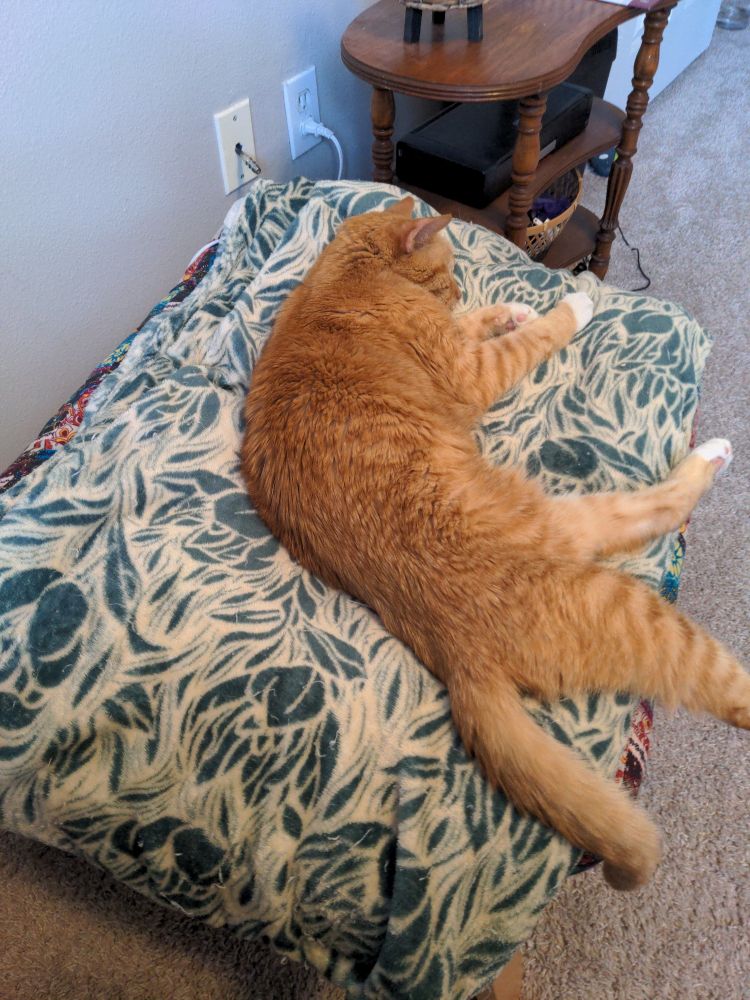 An orange tabby lays splayed out on a green and white blanket with leaf print.