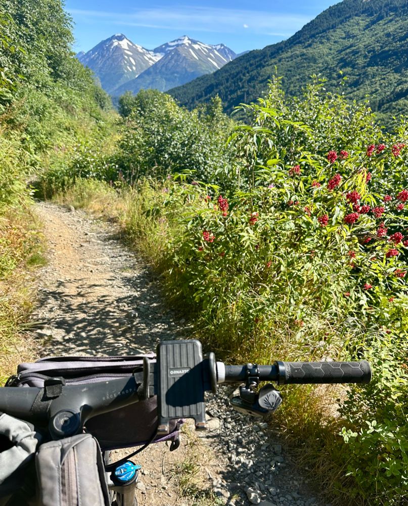 View of mountains and bike handlebar on a trail in Alaska. 