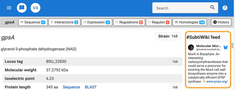 Screenshot of a gene page on SubtiWiki showcasing the new BlueSky feed in the sidebar.
