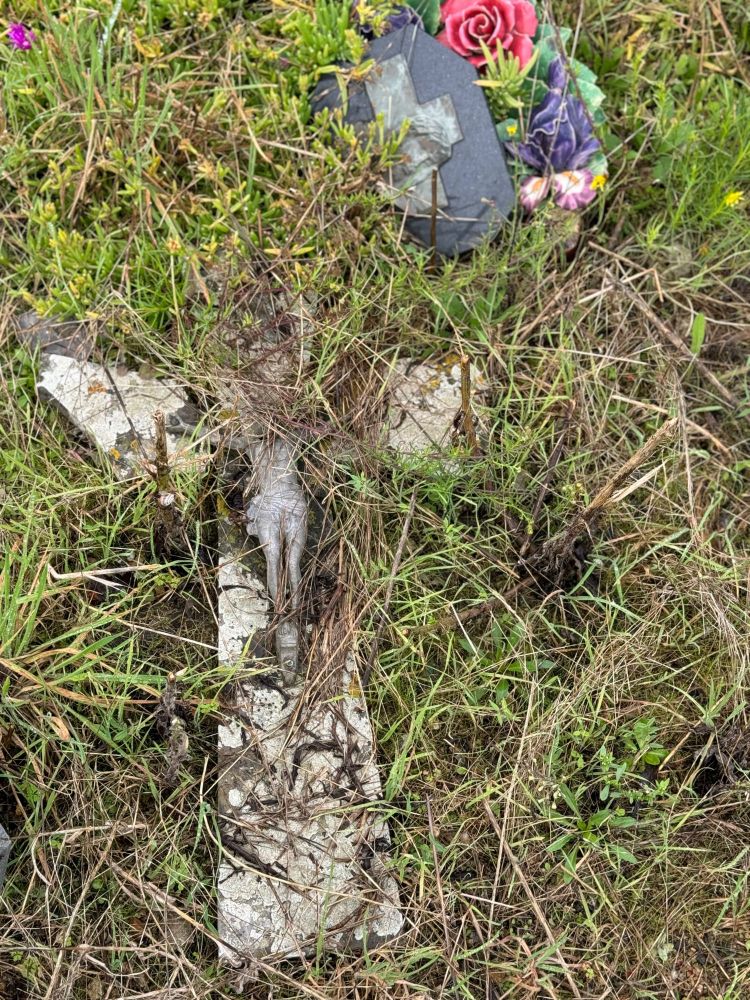 au sol un crucifix en pierre avec un christ sculpté est recouvert par les herbes. Au second plan une croix sur un marbre et des fleurs en faïence sont aussi recouvertes par les herbes