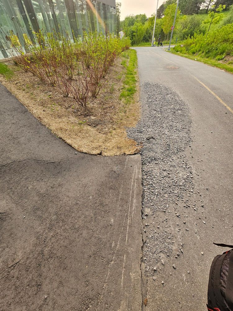 Image showing paved path junction, and newly planted bushes. There's a dried river of gravel washed out from under the angled path. 