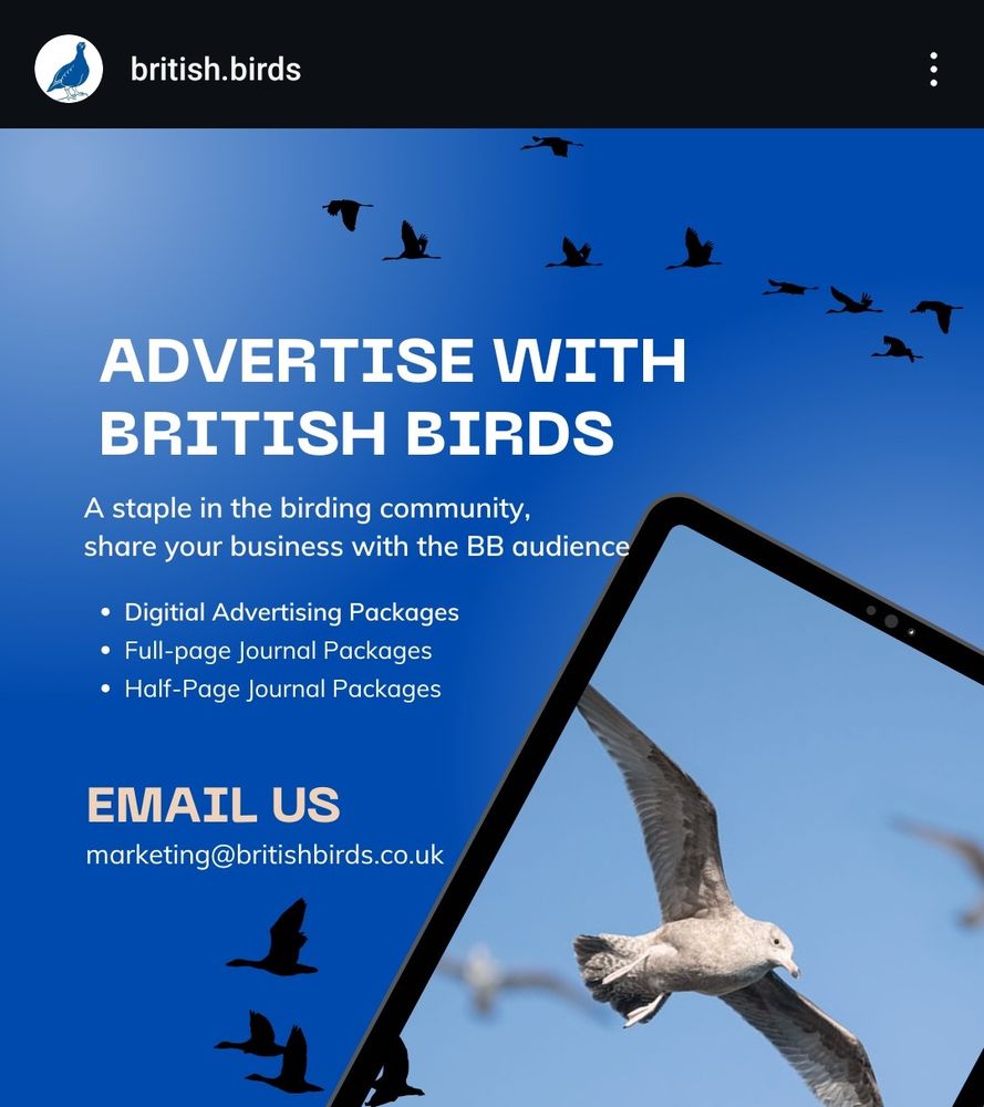 Advertise with British birds 