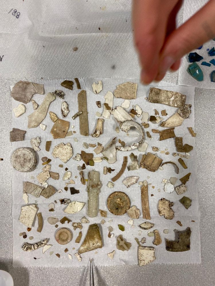 A hand placing plastic pieces from a seabird on a paper towel