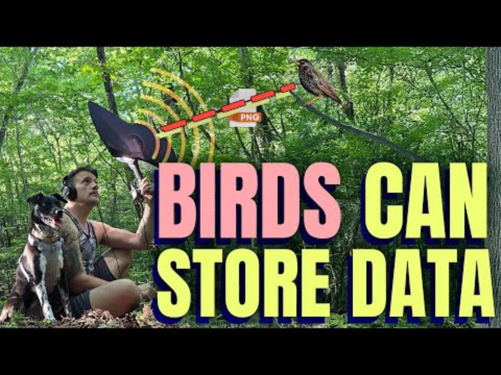 I Saved a PNG Image To A Bird