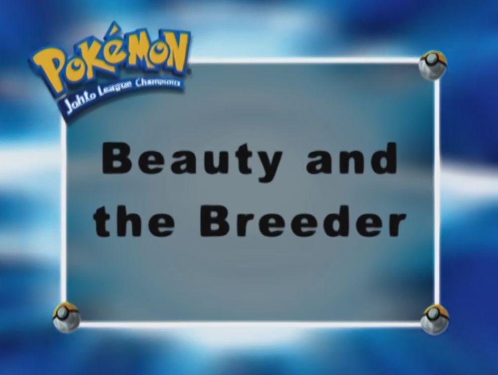 Screenshot of a title card from pokemon that says "beauty and the breeder"