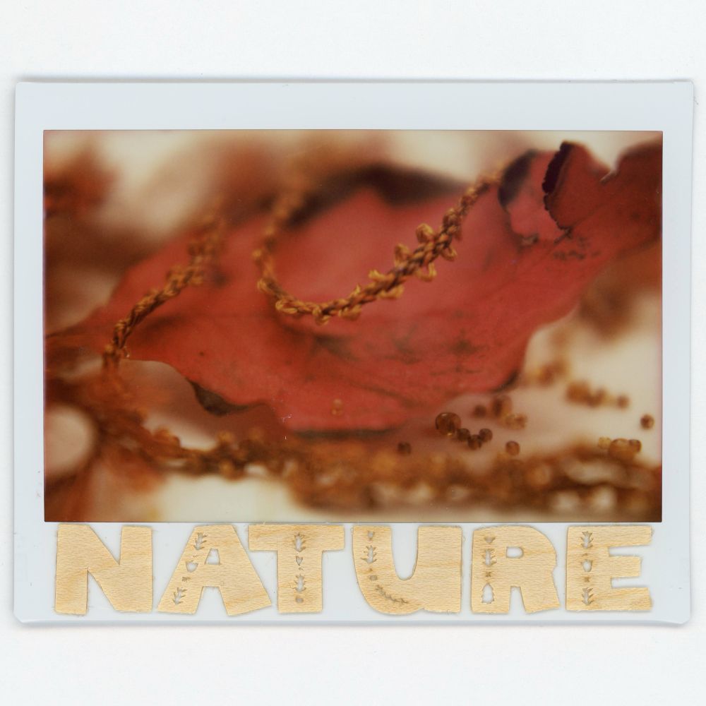 A wide instant photo featuring a large red leaf, brown and amber beads and a brown ribbon draped over the leaf. The bottom of the film features wood veneer letters spelling out NATURE in capital letters. 