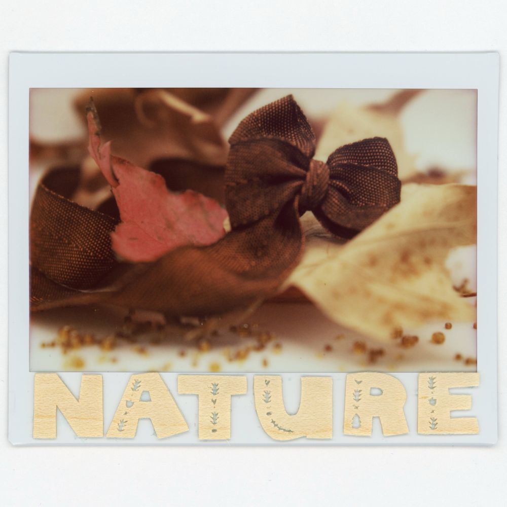 A wide instant film picture featuring some dead autumn colored leaves along with some amber colored beads and brown ribbon tied in a bow. The bottom of the film features wood veneer letters spelling out NATURE in capital letters. 