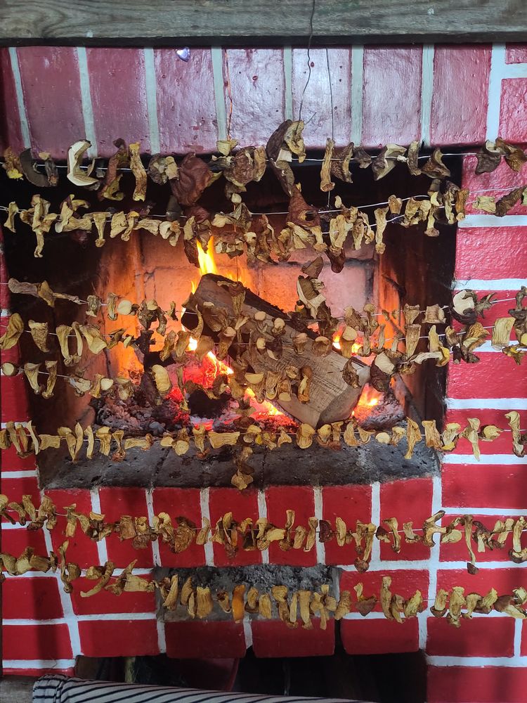 Zdjęcie rozpalonego kominka z czerwonej cegły, przed którym na drutach suszą się grzyby 