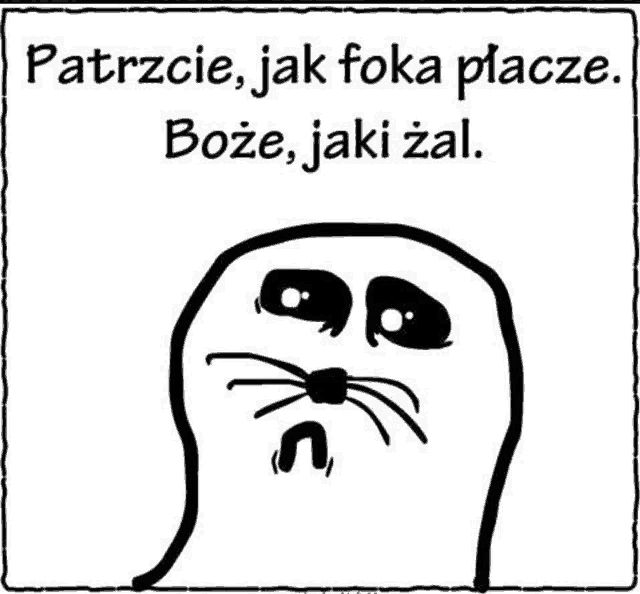 mem Dema ze smutną foką i tekstem "Patrzcie jak foka płacze. Boże jaki żal"