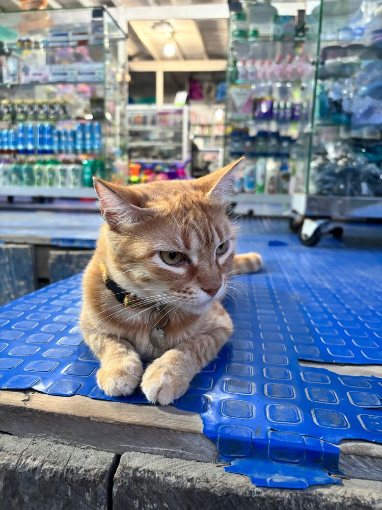 Cómo me ve la gente la mayor parte del tiempo.