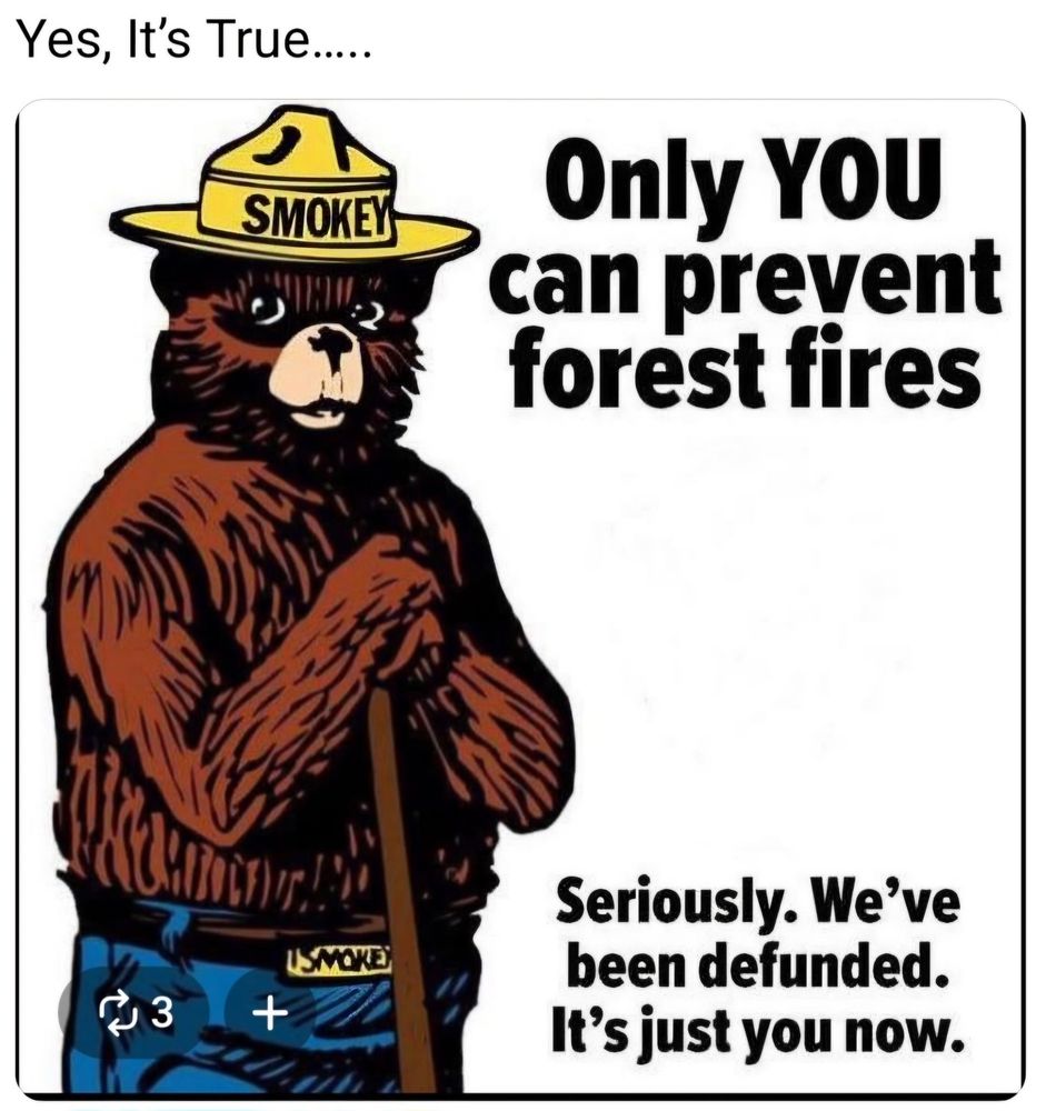 Picture of Smokey bear against a white background that says only you can prevent forest fires

Seriously. We’ve been defended. It’s just you now.