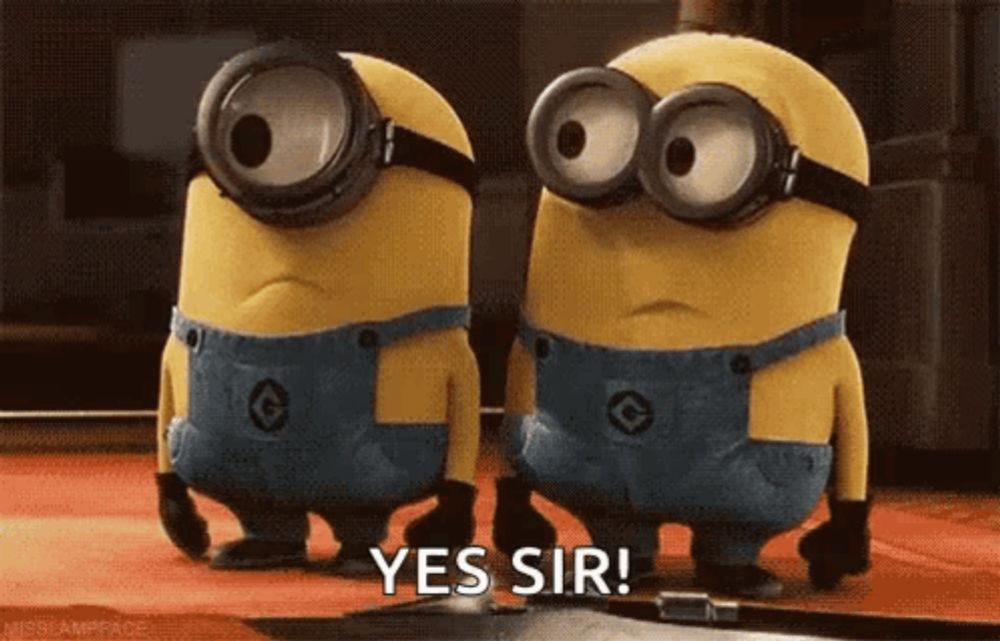 two minions are standing next to each other and one of them is saying yes sir .