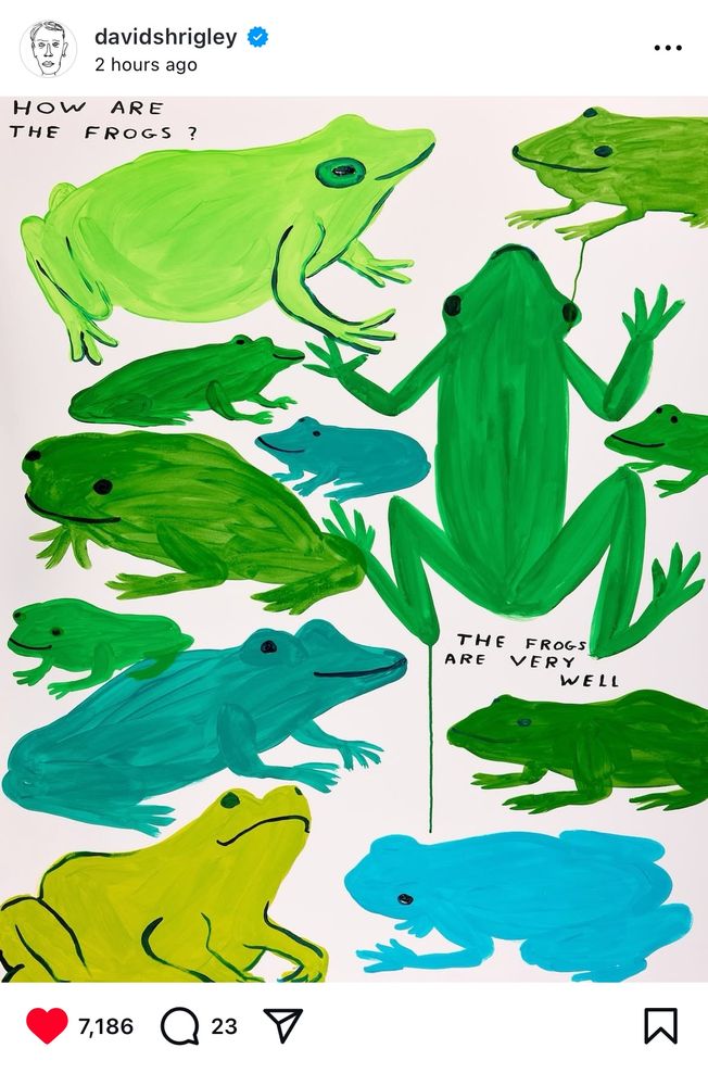 A screenshot of art by David Shrigley. It shows many different colored frogs and the text reads:
How are the frogs? 
The frogs are very well