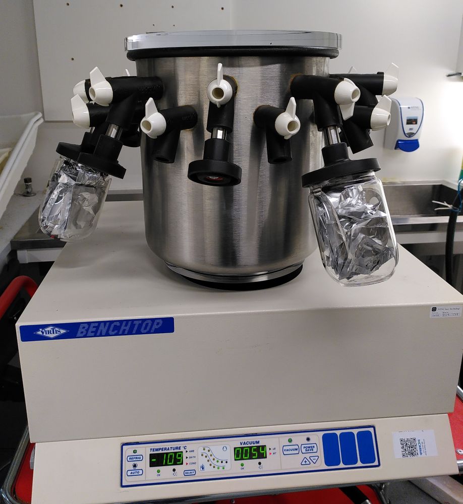 A freeze dryer with plant samples in aluminium bags. The glass beakers can be connected and the vacuum extends into the beakers with the sample in them. Black tubes connect the beakers with the vacuum chamber and white valves allow for individual connecting and disconnecting.
