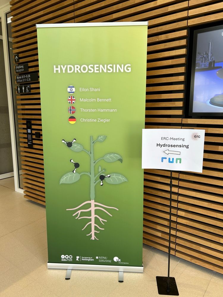 A poster at the ERC Hydrosensing project meeting in Regensburg showing a plant and water molecules as well as the names and flags of the team leaders Eilon Shani (Israel), Malcom Bennet (UK), Thorsten Hamann (Norway) and Christine Ziegler (Germany).