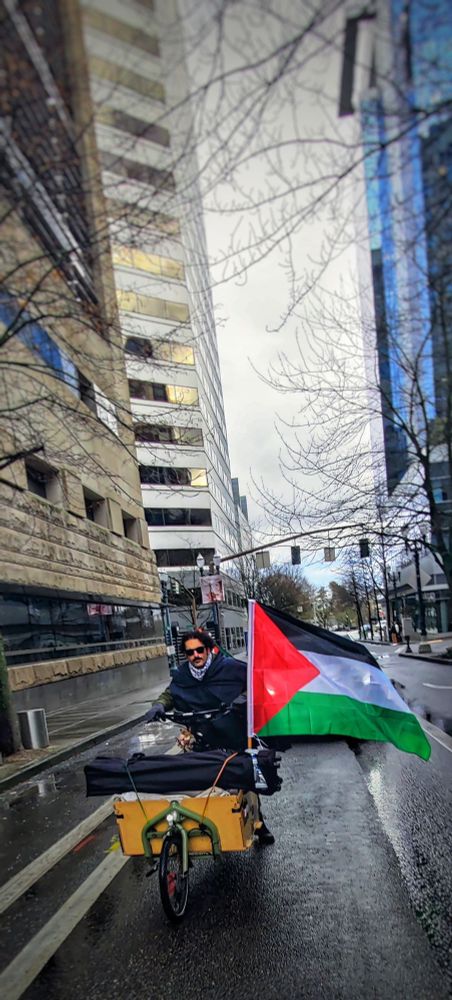 Person on cargo bicycle with large Palestine flag attached and blowing beautifully in the wind