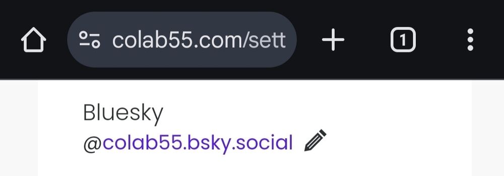 na página do seu Studio na colab55, acesse a aba "Preferências" e na área "Sobre o seu Studio" verá a opção de colocar seu link da Bluesky.