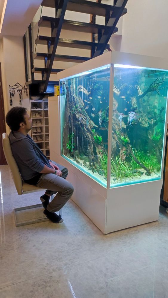 A man sits on a chair infront of a fish tank and falls into a meditative state. Vita Sapien Philosophy calls this Vitan Meditation.