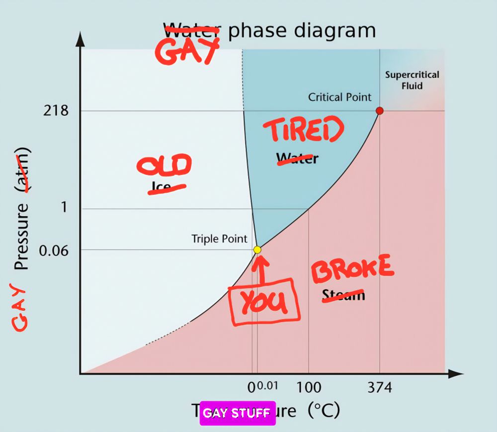 A water phase diagram, it's a useful diagram to show where multiple phases of a material co-exist in a delicate state, potentially shifting between the phases on tiny fluctuations in conditions which are the axis of this graph.

In this case, I have modified the image to be about gay stuff as a joke showing the strange state a gay person finds themselves in when they exist between categories and life conditions. Being old, but not old enough, broke and tired