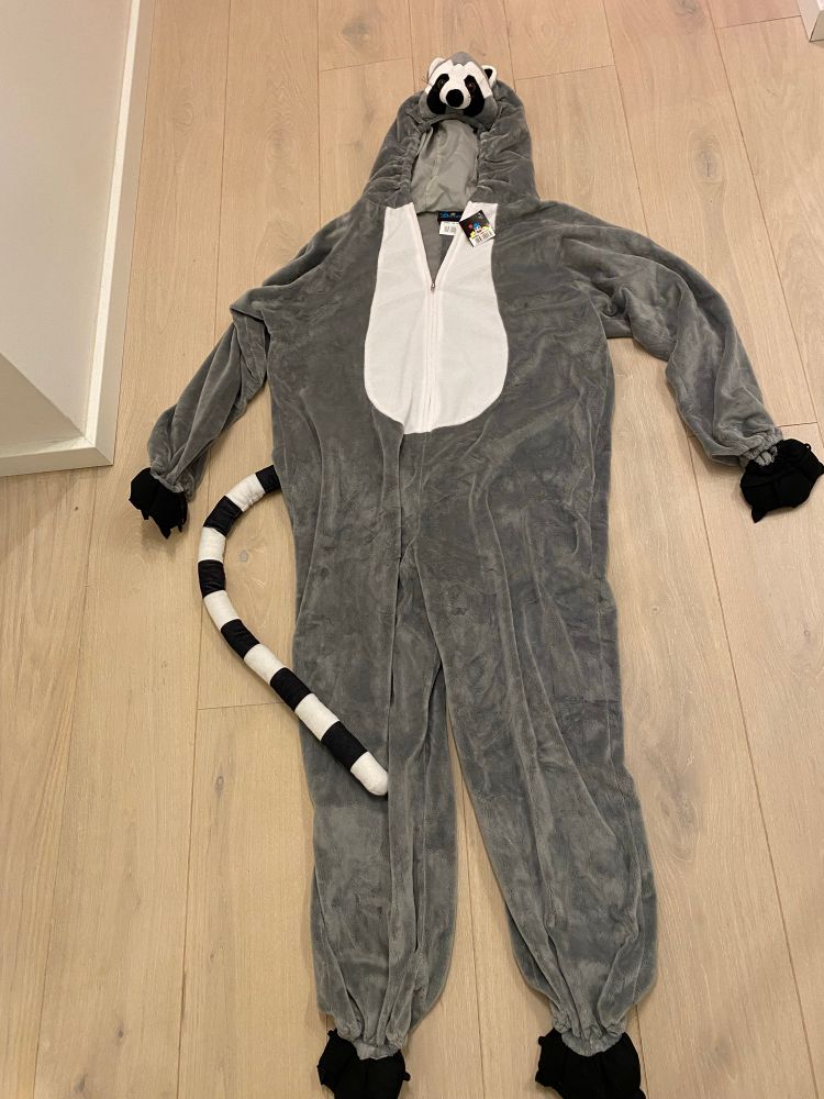 Auf dem Foto ist ein Ganzkörperkostüm zu sehen, das einen Waschbären darstellen soll. Die Farbe ist grau mit einem weißen Fleck im Brustbereich. Es lässt sich mit einem Reißverschluss verschließen. Vom Hinterteil führt ein schwarz-weiß gestreifter Schwanz heraus. Das Kopfteil hat die Form eine Waschbärengesichts. Die Größe auf dem Etikett ist 140/164. Am Reißverschluss hängt noch das Etikett.