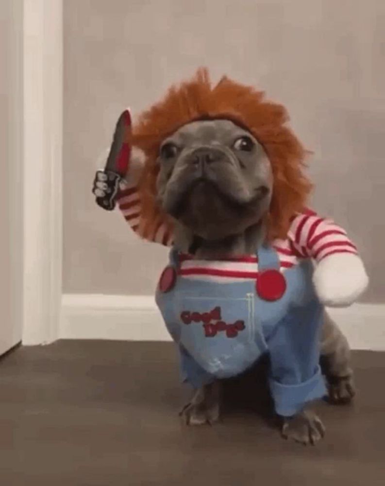 a bulldog dressed as chucky is holding a knife