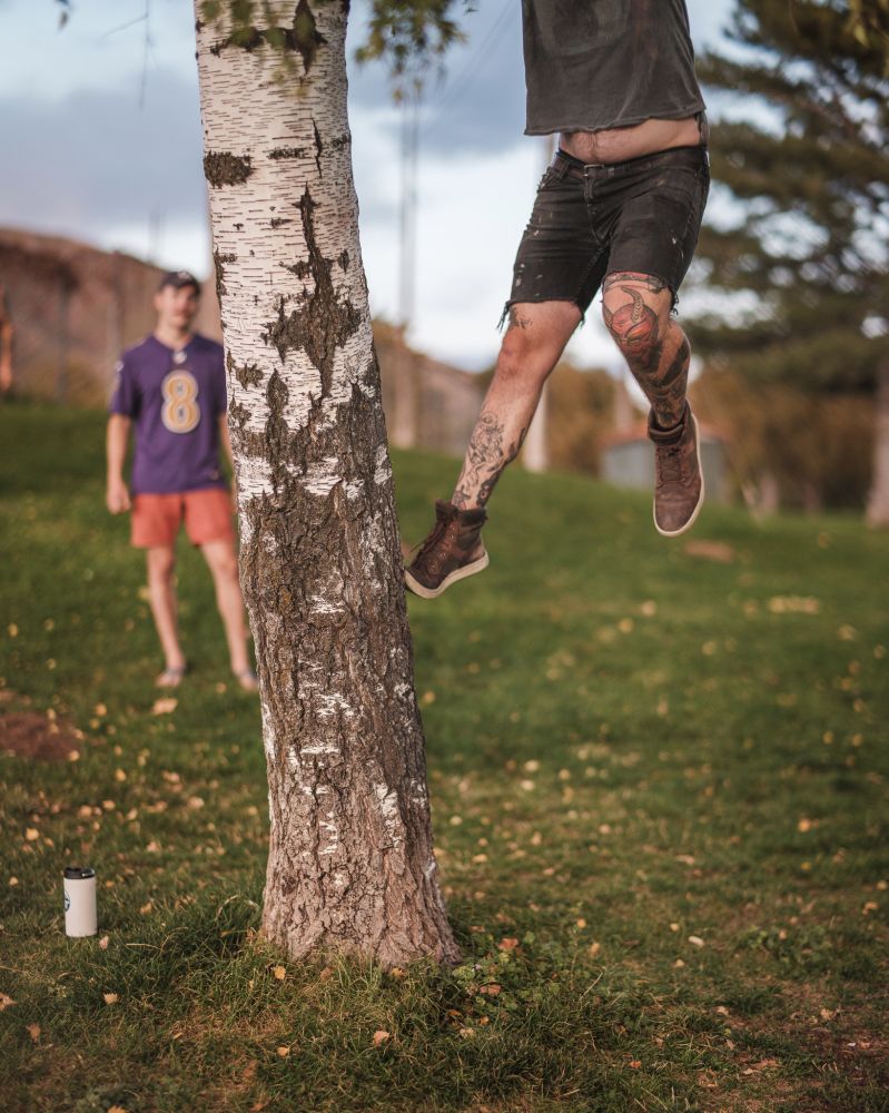 a man climbs a tree.