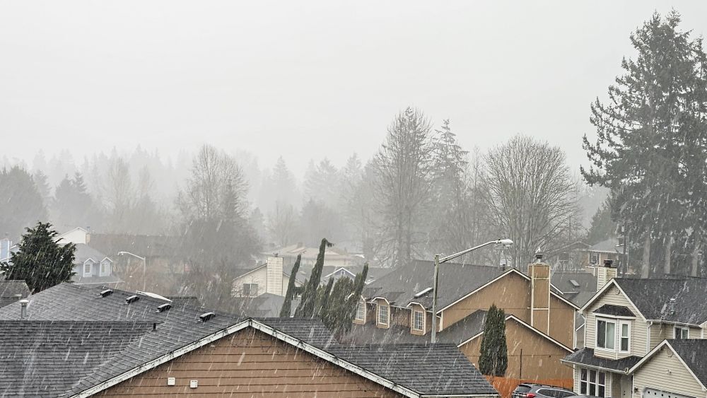 Blurry, wet snowfall in neighborhood.  Snowflakes showing on walls of brown houses and dark roofs. Evergreen tree towards the right side of photo.  Mid-photo has a variety of trees, fading from dark gray to very light gray.  Sky in top 1/3 of photo is solid very pale gray.