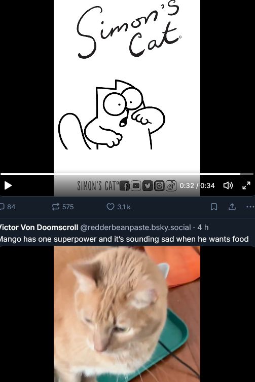 bluesky screenshot with the simon cat post and with a cat video under post