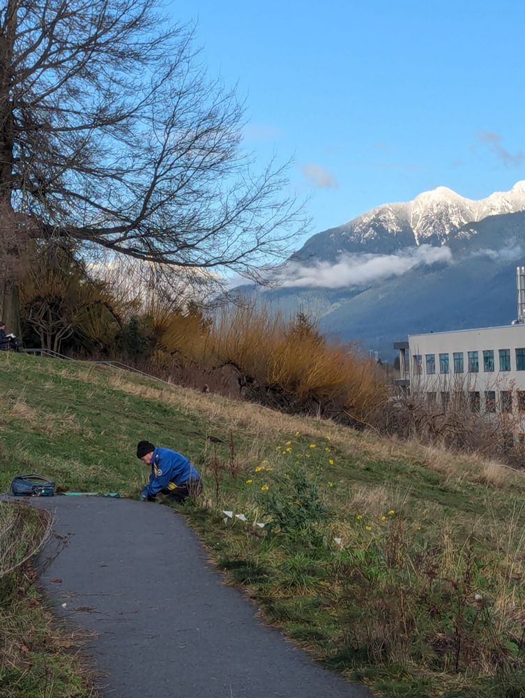 A shot of a grassy hillside with a path with snowy mountains in the background. A husband is pulling up weeds in the mid ground.