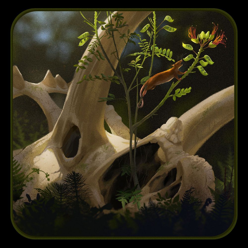 A small mammal is eating beans from a plant growing out of a ceratopsian skull.