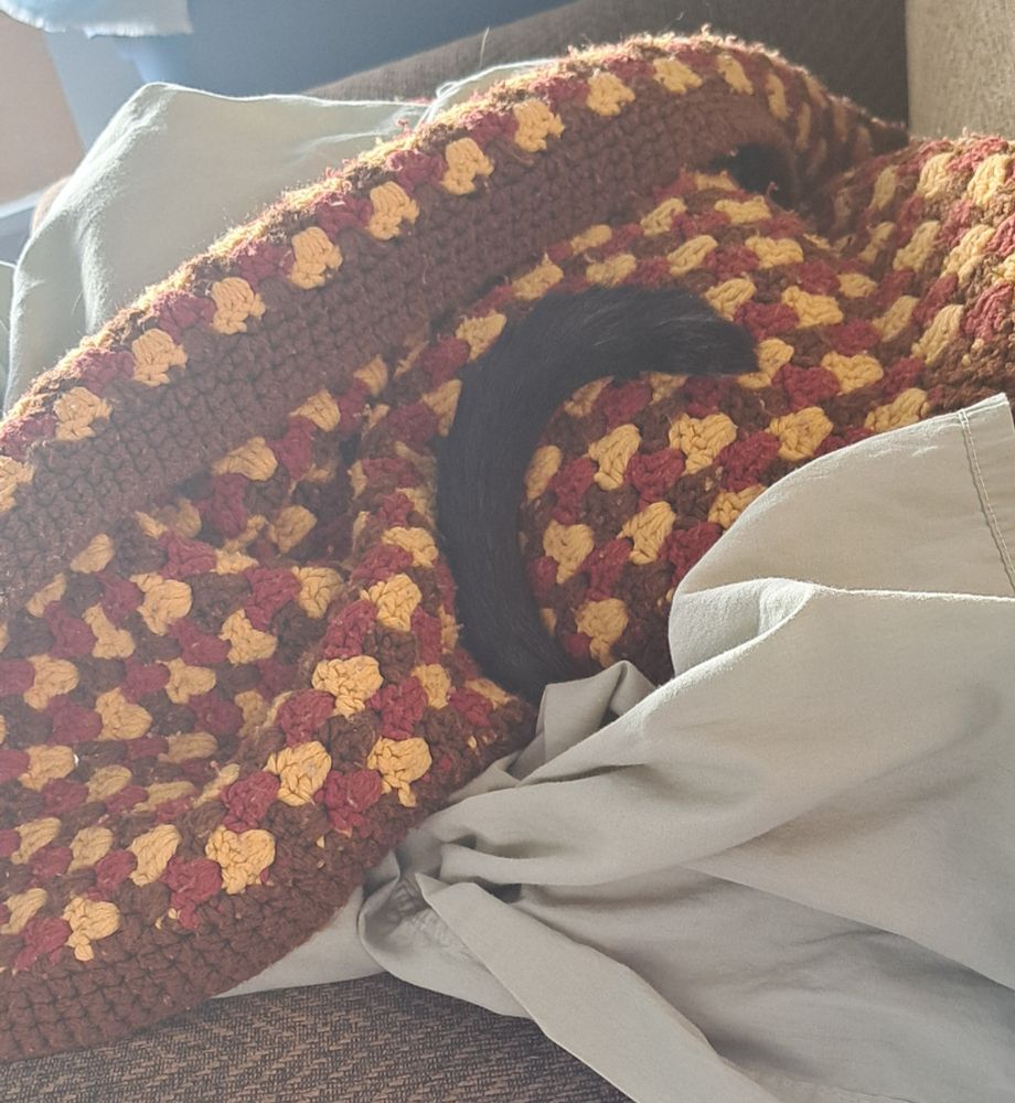 Photo of a cat's tail sticking out from under a sheet and laying next to a multicolored afghan.